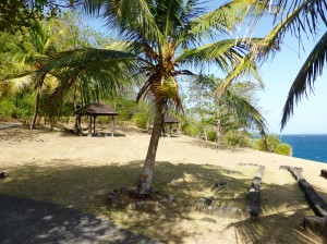 Restaurant IL Faro et alentours             